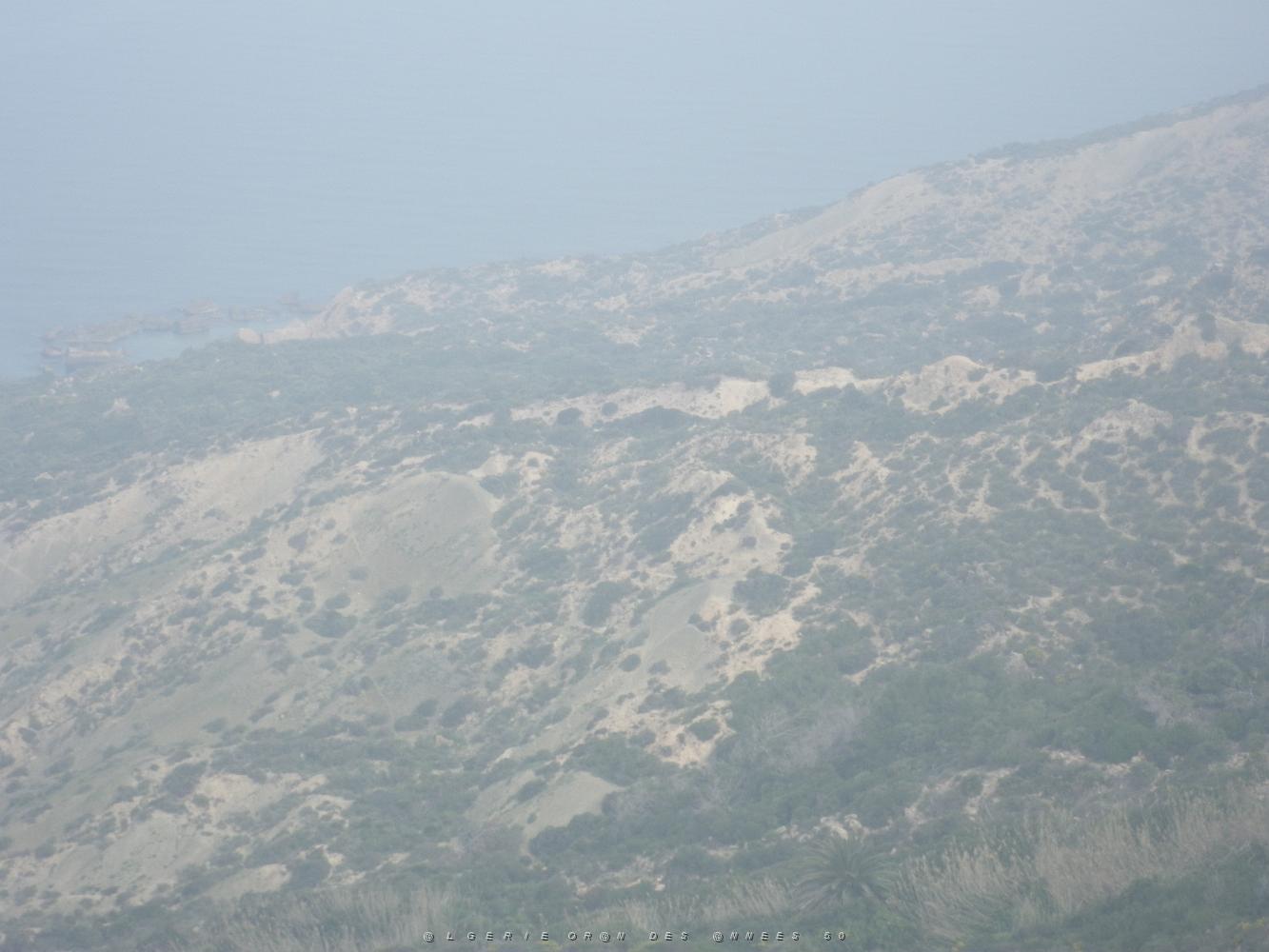 1974 Et voila un dernier regard vers la mer depuis le Casino De Canastel .JPG
